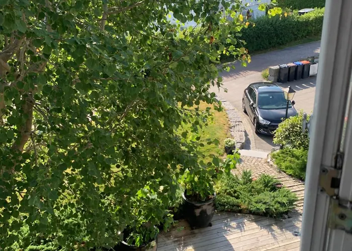 Mollerasen * Sandefjord